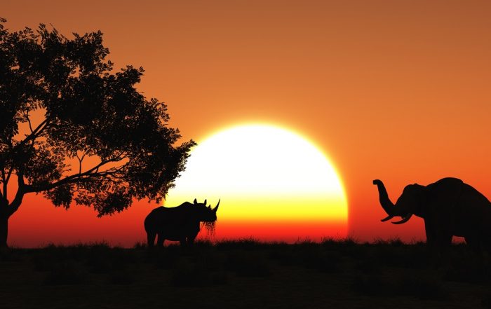 mejor época para un safari a Kenia