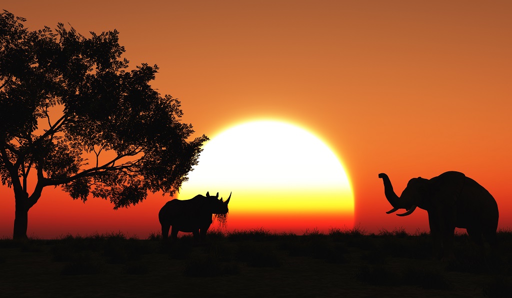 mejor época para un safari a Kenia